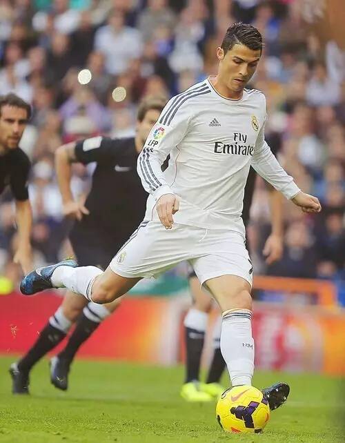 球迷们在网 球迷们在网