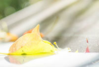 让这篇文章 让这篇文章