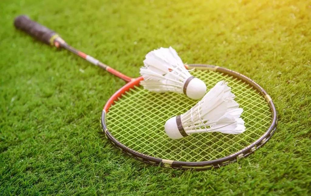 与合作项目 与合作项目