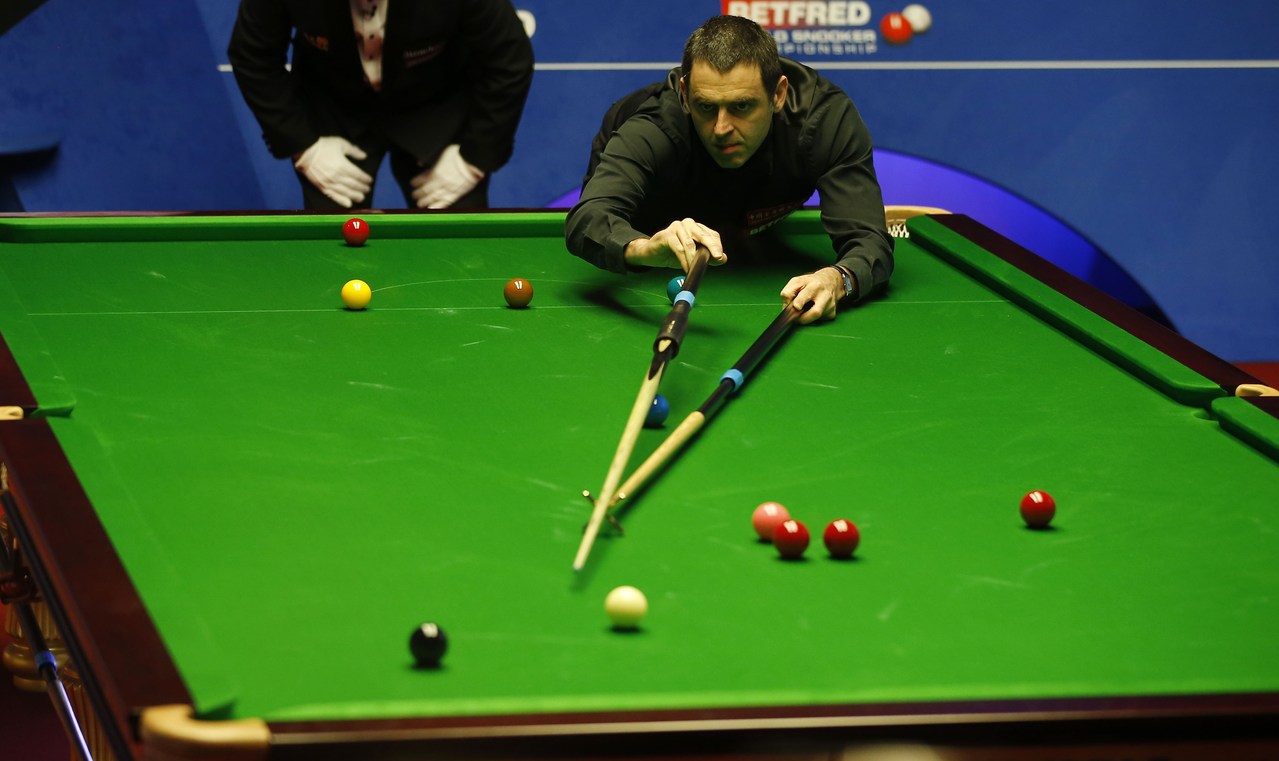 常规赛他可 常规赛他可